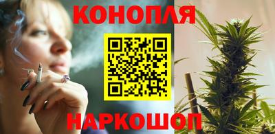 прущие крисы Когалым