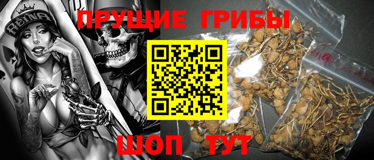 Галлюциногенные грибы MAGIC MUSHROOMS Дмитров