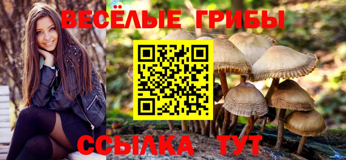 Галлюциногенные грибы мицелий  Вход с VPN  Дмитров 